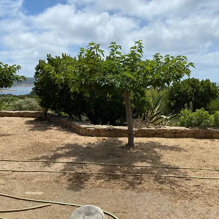 Grande Tizzano A 200 M De La 18 Pers Ferienhaus *