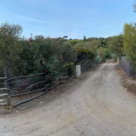 Grande Tizzano A 200 M De La 18 Pers Ferienhaus