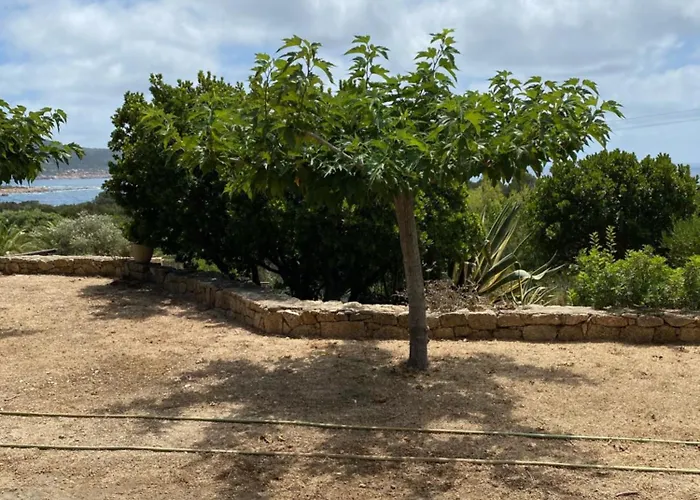 Grande Tizzano A 200 M De La 18 Pers 別荘 *