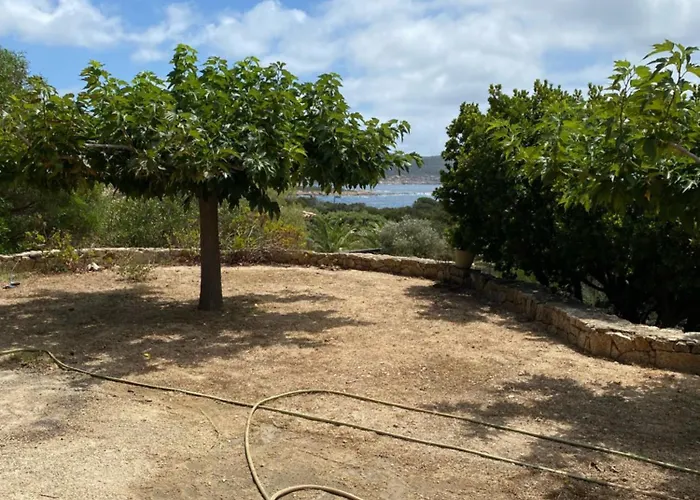 Grande Tizzano A 200 M De La 18 Pers * サルテーヌ